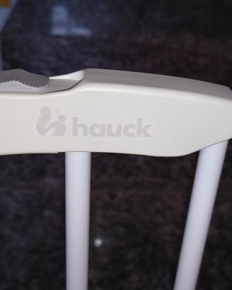 cancelletto hauck