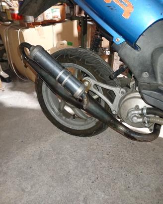 Malossi for race only