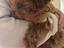 Immagine 1