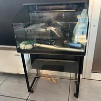 Acquario tartarughe con relativo carrello