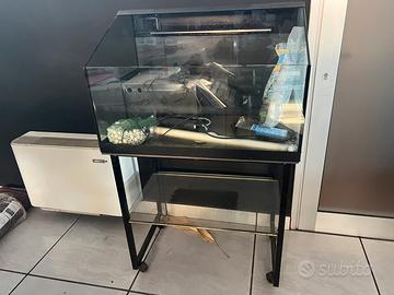 Acquario tartarughe con relativo carrello
