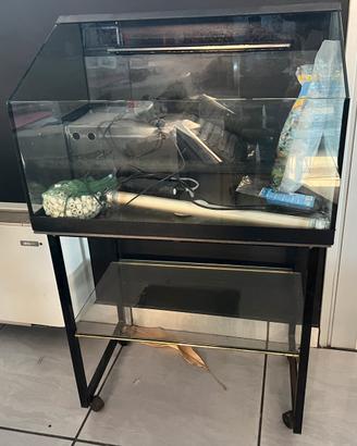 Acquario tartarughe con relativo carrello