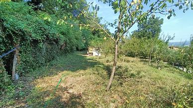 Terreno Agricolo Orte [Cod. rif 3255130VCG]
