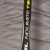 canna bolognese tubertini  tbr no limits 6mt