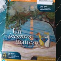 Un incontro inatteso