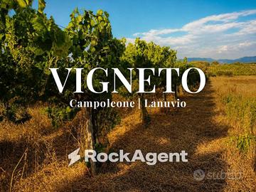 Terreno di 10000 m² a Lanuvio