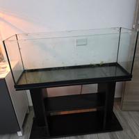 acquario 100 L con mobile