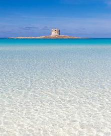 Addetto alle vendite