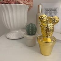 Set cactus Maison du Monde