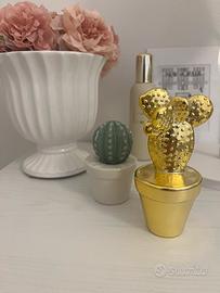 Set cactus Maison du Monde