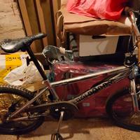 Bici BMX freestyle cromata Rooster Big Daddy

