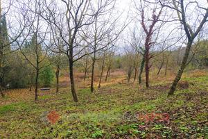 Terreno Agricolo Perugia [AV2023-145VCG]
