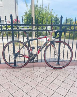 Bici da strada carbonio
