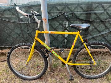 bicicletta