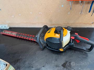 TAGLIASIEPE A BENZINA