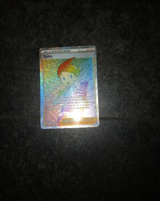 spino allenatore raimbow