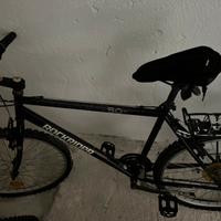 Bici da passeggio