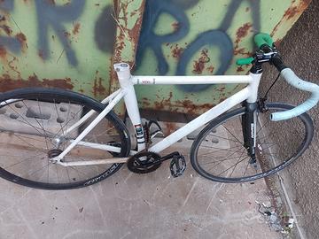 Bicicletta bianchi 