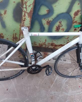 Bicicletta bianchi 