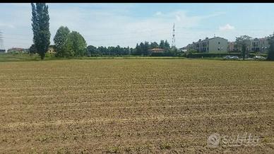 Terreno agricolo