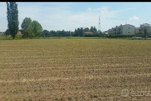 Terreno agricolo