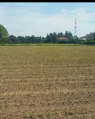 Terreno agricolo