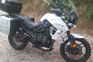 Triumph Tiger 800 xrx