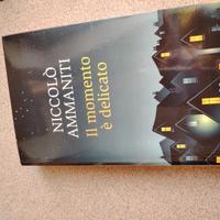 Romanzo Niccolò Ammaniti