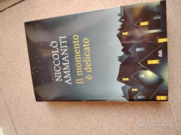 Romanzo Niccolò Ammaniti