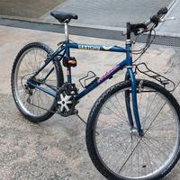 bicicletta usata 