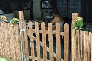 Roulotte 6 posti con piscina Marina di Massa