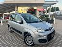 fiat-panda-easy-1-2-cc-69-cv-gpl