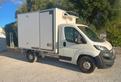 Peugeot Boxer 35q L2 2.0 BHDi 160cv Cella Frigo