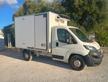 Peugeot Boxer 35q L2 2.0 BHDi 160cv Cella Frigo