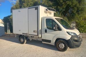 Peugeot Boxer 35q L2 2.0 BHDi 160cv Cella Frigo