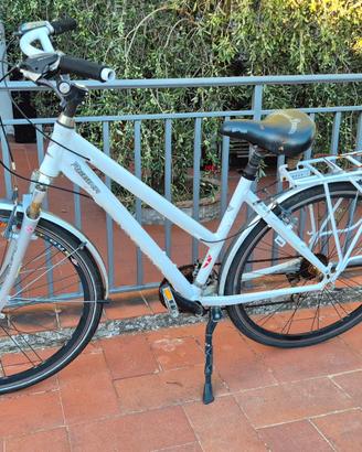 Bici Olandesina 
