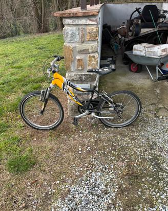 Bicicletta atala