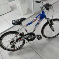 bicicletta nuova da bambino