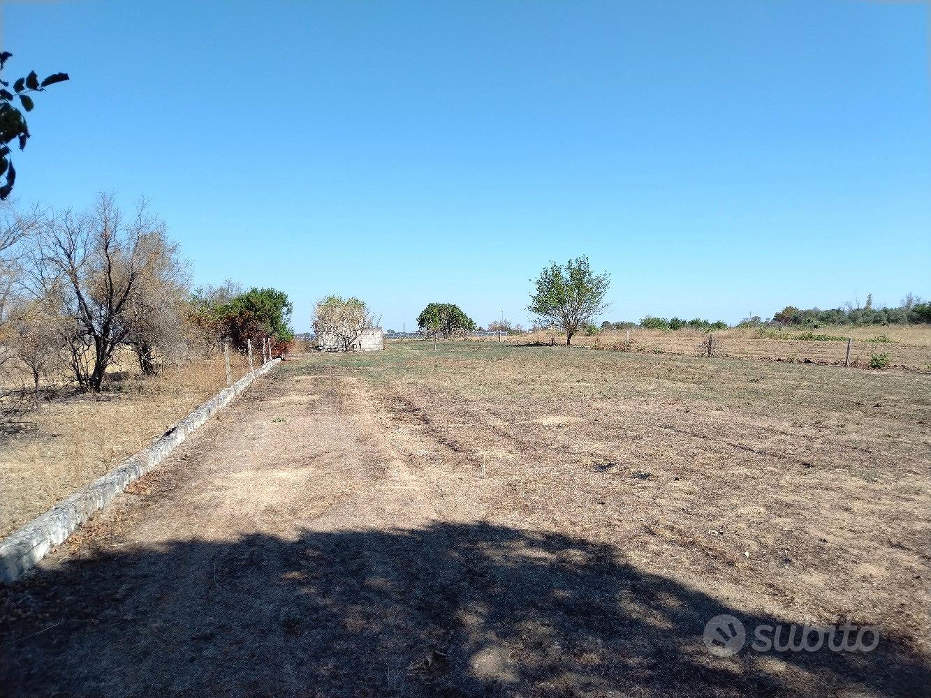 Terreno agricolo di 2200mq con piccolo annesso - Vista 2