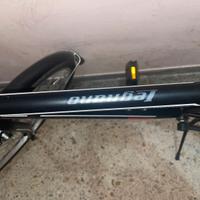Bicicletta  Legano