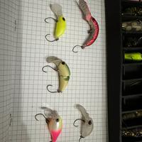 Crank trout area lotto 5