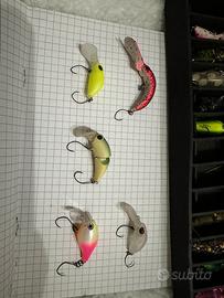 Crank trout area lotto 5