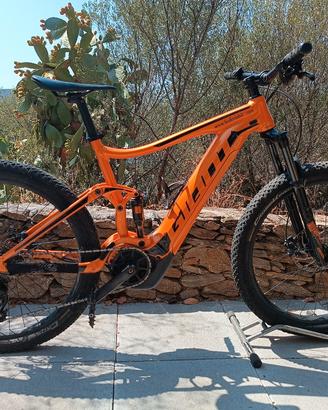 e bike giant stance e+ 1  2019