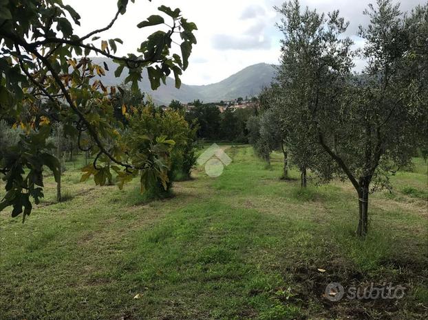 TER. AGRICOLO A SANT'AGATA DE' GOTI