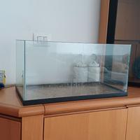 Acquario