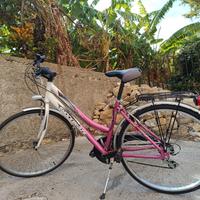bicicletta donna 