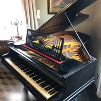 Pianoforte C. Bechstein 1896