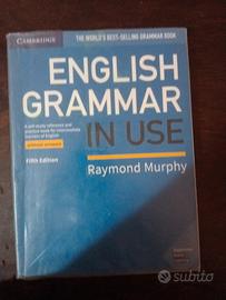 english grammar in use 