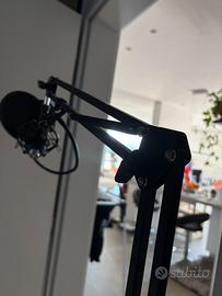 Microfono professionale