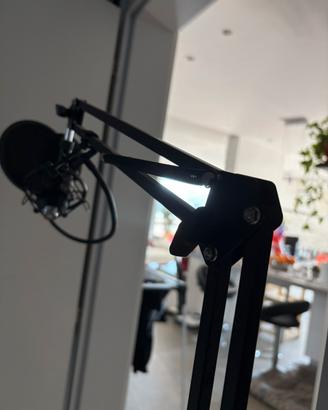 Microfono professionale